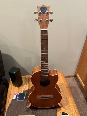 UkuleleBuild1_009t.JPG